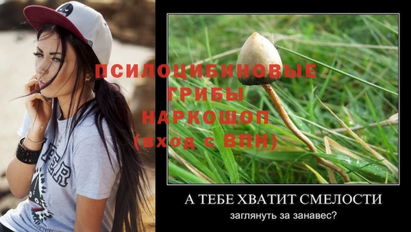 бошки Кодинск
