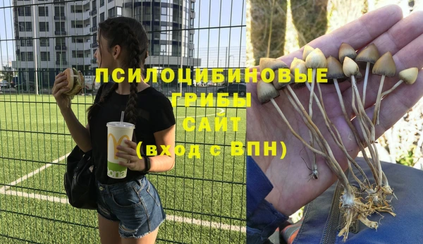 бошки Кодинск