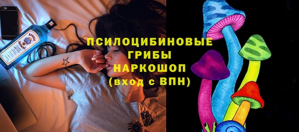 mix Козловка