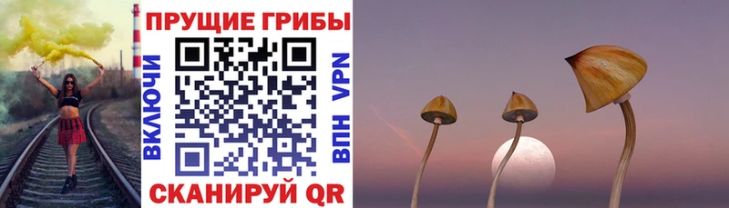 Псилоцибиновые грибы GOLDEN TEACHER  Купить где  Сурск 